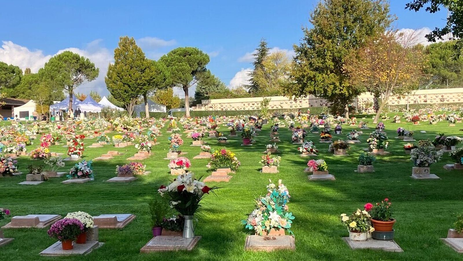 Árboles del Recuerdo, suelta de palomas y música en directo para acompañar a las familias en el Parque Cementerio de la Paz