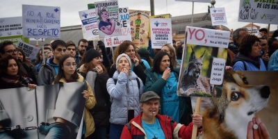 madrid-los-veterinarios-manifiestan-semana-espana-ley
