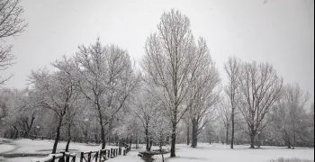 madrid-temporal-ayuntamientos-sierra-alrededores-piden