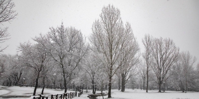 madrid-temporal-ayuntamientos-sierra-alrededores-piden