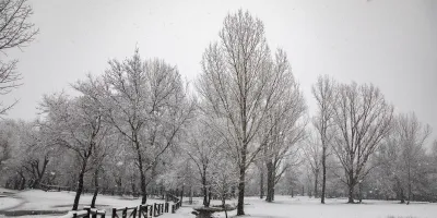 madrid-temporal-ayuntamientos-sierra-alrededores-piden