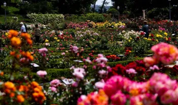 antigua-escombrera-jardin-historico-comunidad-inicia