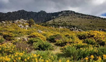 78-madrilenos-interesados-escapadas-region-verano-segun
