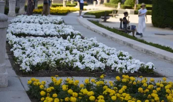 ayuntamiento-espera-parques-dedicados-papas-francisco-benedicto
