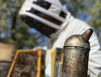 comunidad-supervisa-ahumadores-apicultura-prevenir-incendios