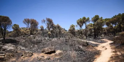 40-efectivos-resfrescan-perimetro-incendio-sierra-oeste-madrid