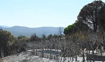 comunidad-califica-apta-bano-agua-pantano-san-juan-incendio