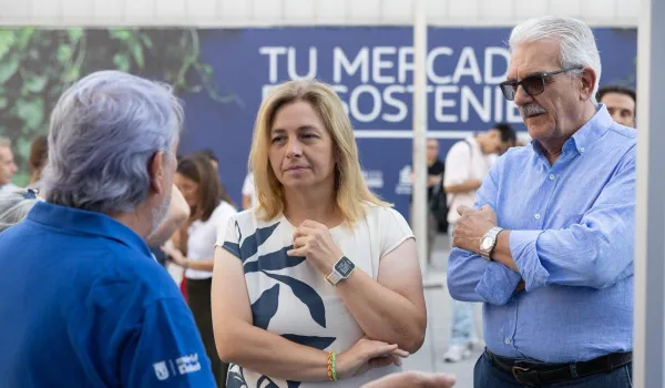 inma-sanz-ataca-hipocresia-psoe-si-personaran-atico