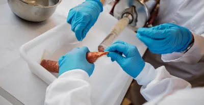 imidra-estudia-sustitucion-grasa-animal-carnicos-saludables