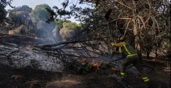 comunidad-confina-aldea-fresno-villamantilla-incendio-forestal
