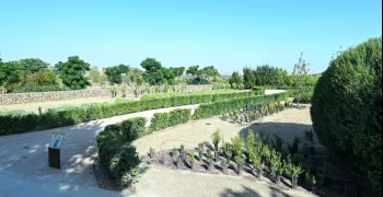 mirador-plantas-aromaticas-secretos-parque-comunidades-puente
