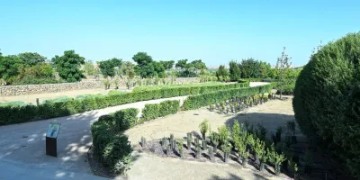mirador-plantas-aromaticas-secretos-parque-comunidades-puente