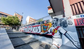 comunidad-exista-informe-tecnico-avale-estadio-vallecas-seguro