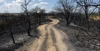 comunidad-restringe-acceso-doce-montes-sierra-oeste-retira