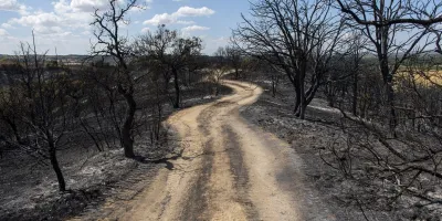 comunidad-restringe-acceso-doce-montes-sierra-oeste-retira
