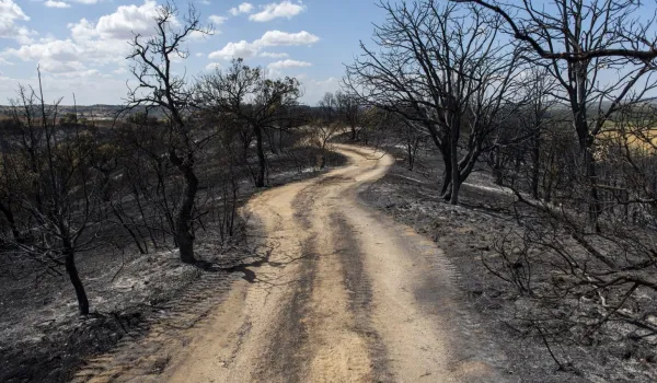 comunidad-restringe-acceso-doce-montes-sierra-oeste-retira