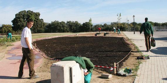 El parque ‘Víctimas del Terrorismo’ de Sevilla la Nueva continúa su ajardinamiento