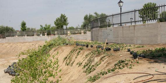 El IES Sevilla la Nueva pone en marcha los trabajos de acondicionamiento de zonas verdes