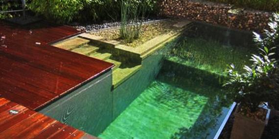 120817 piscina natural 2