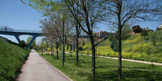 20130606 coslada jardines