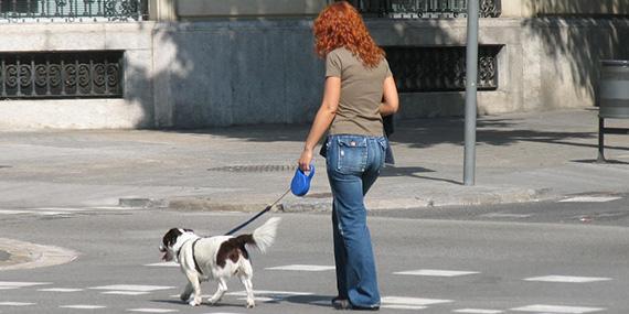 130526 mascota hospital