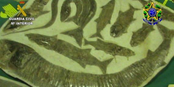 Vendía fósiles sacados ilegalmente de Brasil en la estación de Chamartín