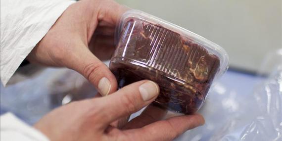 130225 canete carne caballo