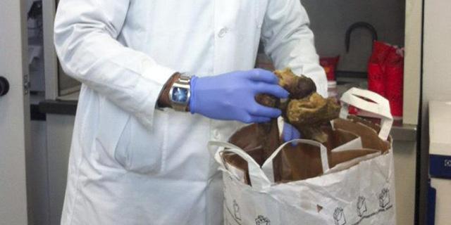 El DNI de los huesos