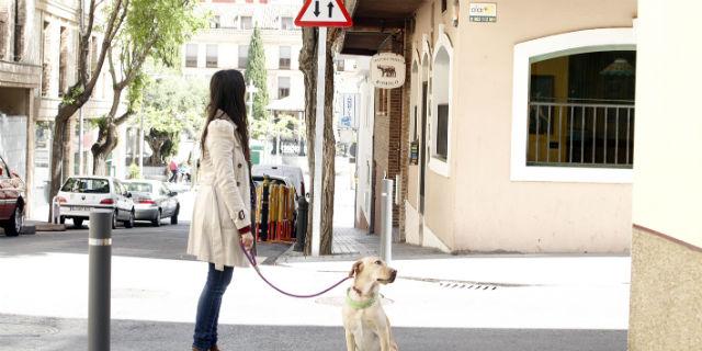 Las Rozas inicia una campaña informativa sobre recogida de excrementos caninos