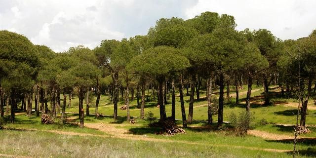 Culmina en Las Rozas la remodelación de la Dehesa de Navalcarbón