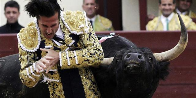 Suspensión histórica tras ser heridos los tres toreros de la duodécima de San Isidro
