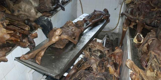 Retiran los restos químicos de los cadáveres de la UCM