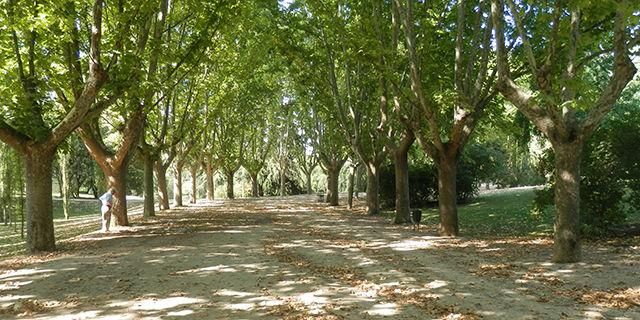 Parque del Oeste, más de un siglo de Historia en Madrid