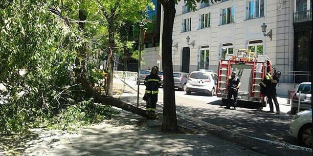Otra rama de un árbol aplasta un vehículo en Madrid