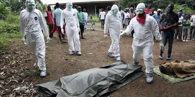 140810 investigaciones ebola
