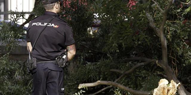 Cae otro árbol en El Retiro, sin causar heridos