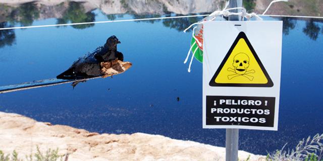 La laguna de Arganda no será tóxica en 2020