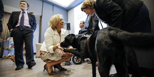 Aumentan un 26% en un año las personas con discapacidad que encuentran empleo en Madrid