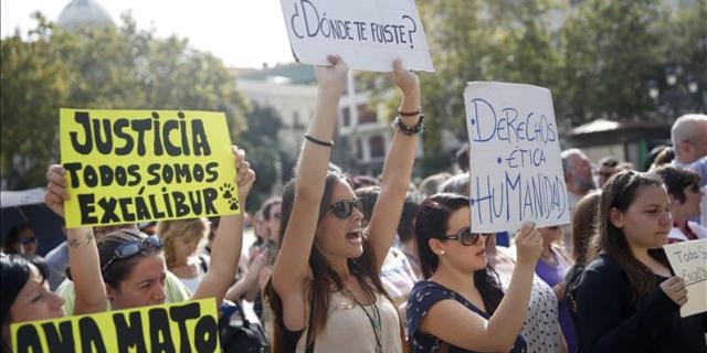 El TSJM rechaza "de plano" la querella de PACMA por el sacrificio de Exkalibur