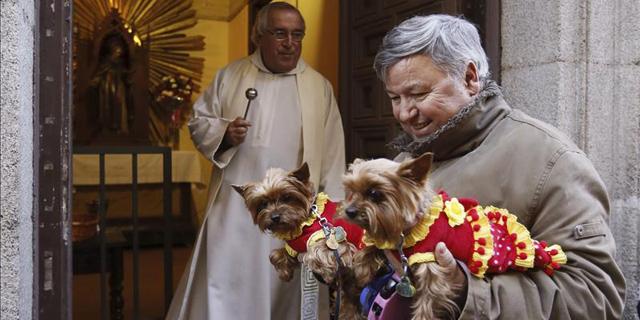 Los animales celebran su día con la bendición de San Antón