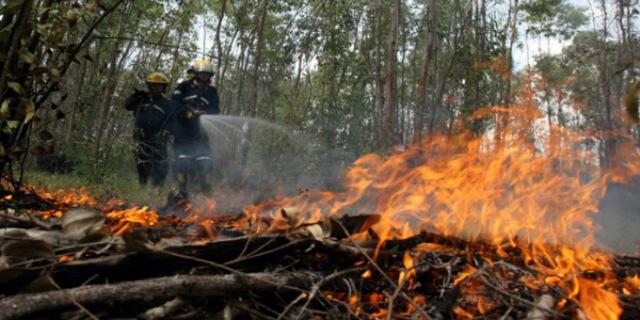 Incendios en las Rozas y Villalba