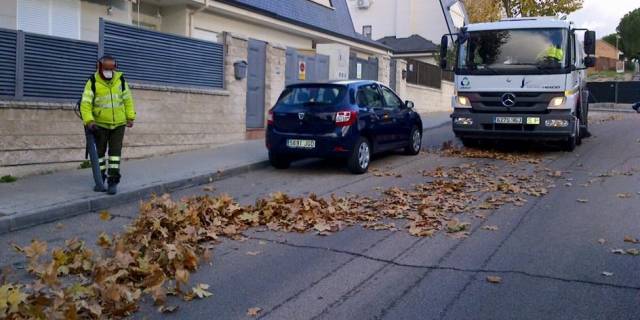 Sevilla la Nueva inicia la campaña de recogida de la hoja