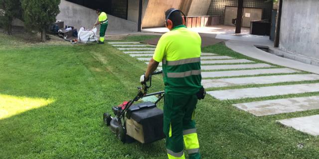 Majadahonda adjudica el contrato para el mantenimiento de las zonas verdes de los colegios y escuelas infantiles