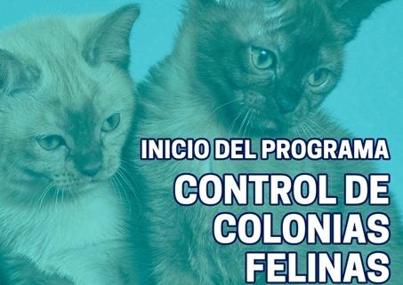 Arranca el Plan de Esterilización de Colonias Felinas en Sevilla la Nueva