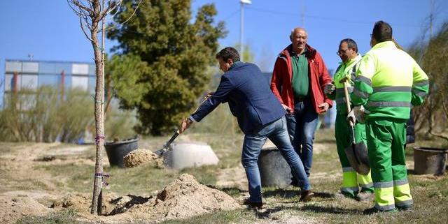 José de la Uz visita los trabajos de reforestación por parte del Ayuntamiento de Las Rozas