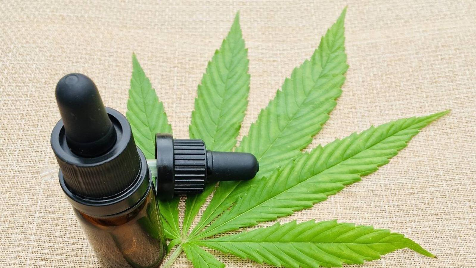 Comienza la posible regularización del cannabis terapéutico en España