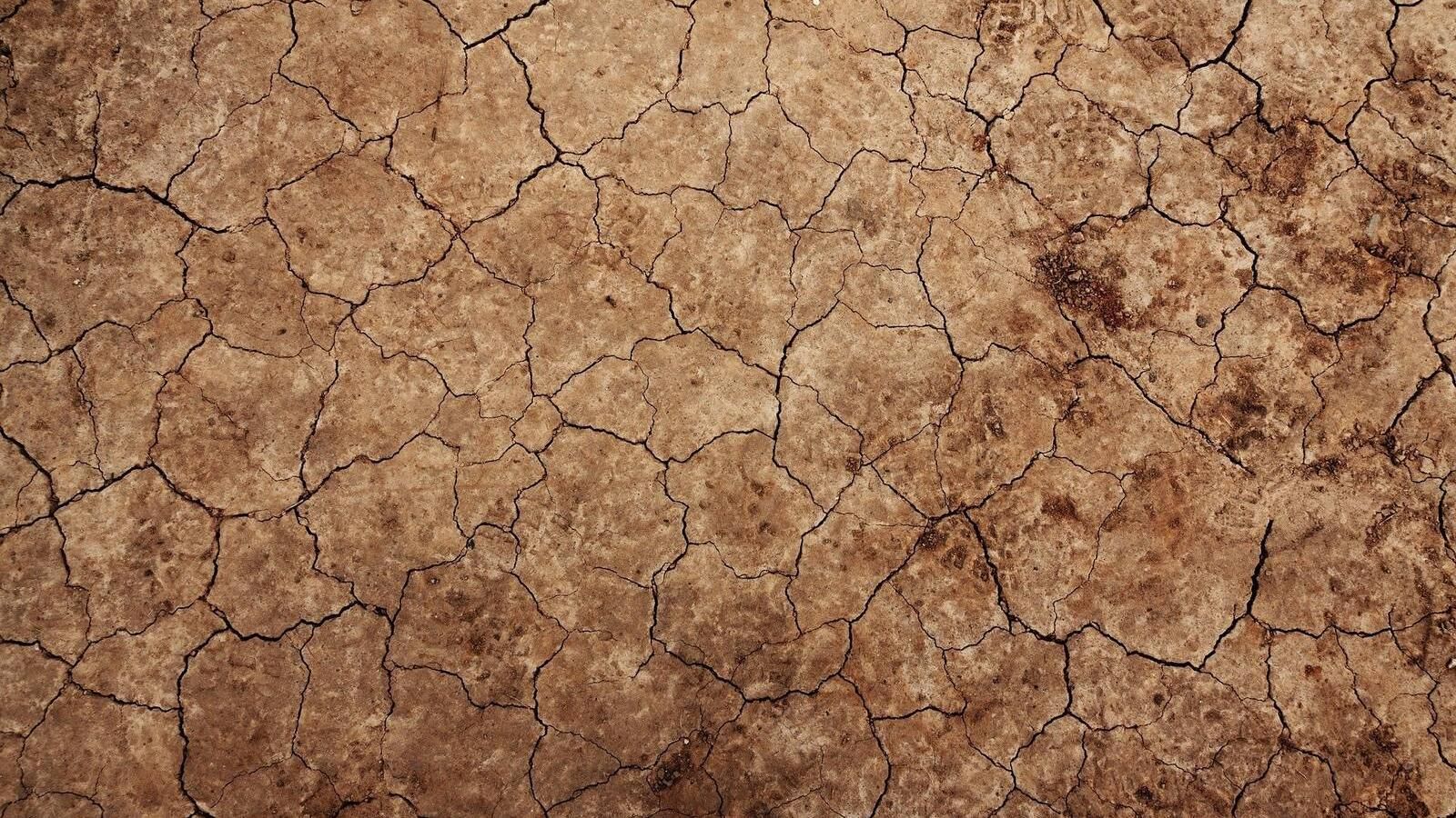 Datos para abordar el problema de la inseguridad alimentaria