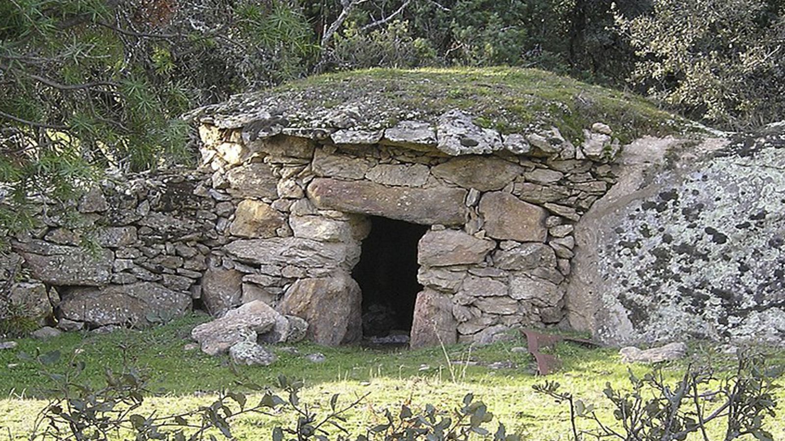 ¿Qué ver y hacer en Pedrezuela?