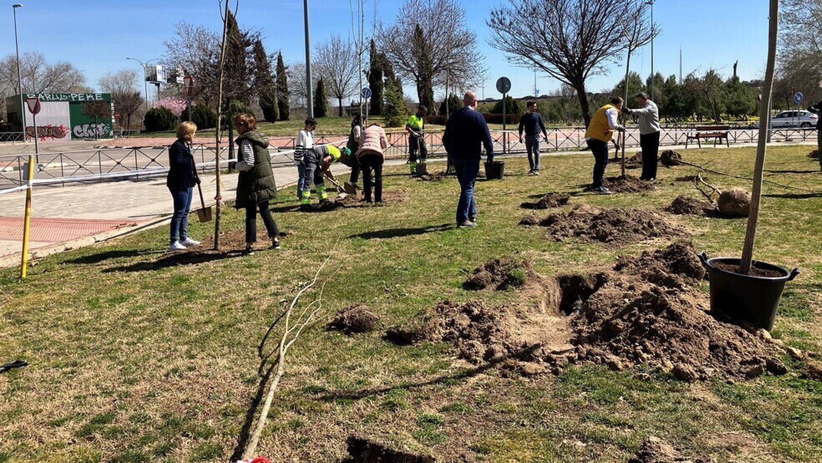 Parcesa apoya por tercer año consecutivo la reforestación del Arroyo de la Vega - El Juncal de Alcobendas
