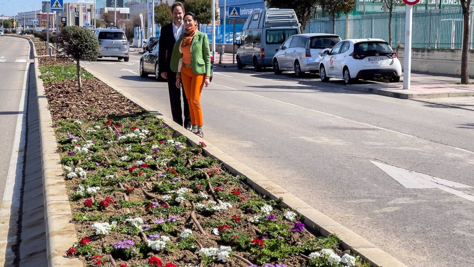 Torrejón renueva la ornamentación vegetal de las medianas de las avenidas Fronteras y Constitución